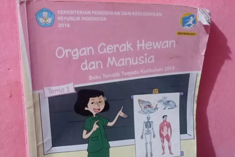 Referensi kunci jawaban tema 1 kelas 5 SD ide pokok paragraf organ gerak hewna dan manusia