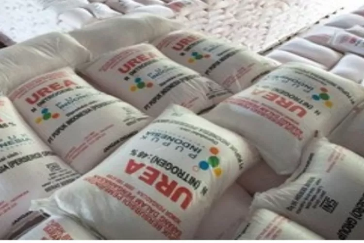 Pupuk Urea Bersubsidi di jual Harga Eceran Tertinggi (HET)  (Realitasonline.id/Dok)