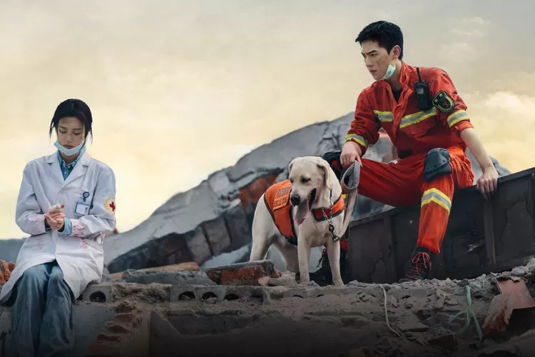 My Fireworks of My Heart Full Episode 1-40  (Viki)