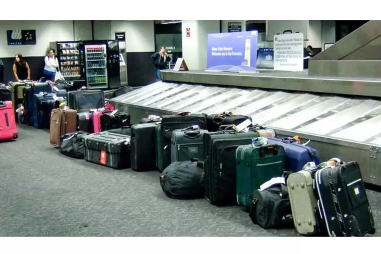 Ilustrasi koper di bagasi pesawat (reservasi.com)