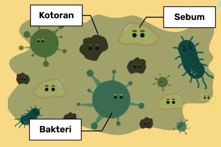Ilustrasi bakteri penyebab bau badan (YouTube/@Neuronmedia)
