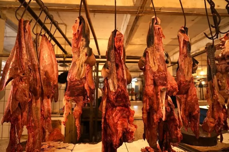 Respon Temuan Cacing Hati Sapi Pemkot Bogor Sidak Pasar Temukan Ini