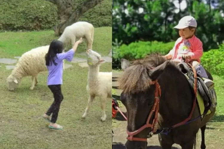 3 Rekomendasi Tempat Bermain Anak yang Seru di Kota Bogor