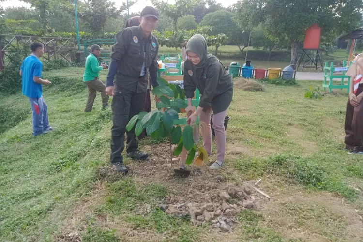 Ketua DPRD Anita Yasmin Menanam Kayu Bulian (Dok. Annuza)
