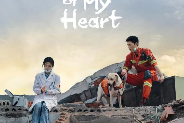 Fireworks of My Heart episode 15 sudah tayang hari ini, Selasa, 11 Juli 2023. Kalian bisa saksikan melalui link nonton sub Indo di VIU, Song Yan dan Xu Qin diperkirakan akan memberi kejutan (ALONESIA/Instagram/@viumalaysia)