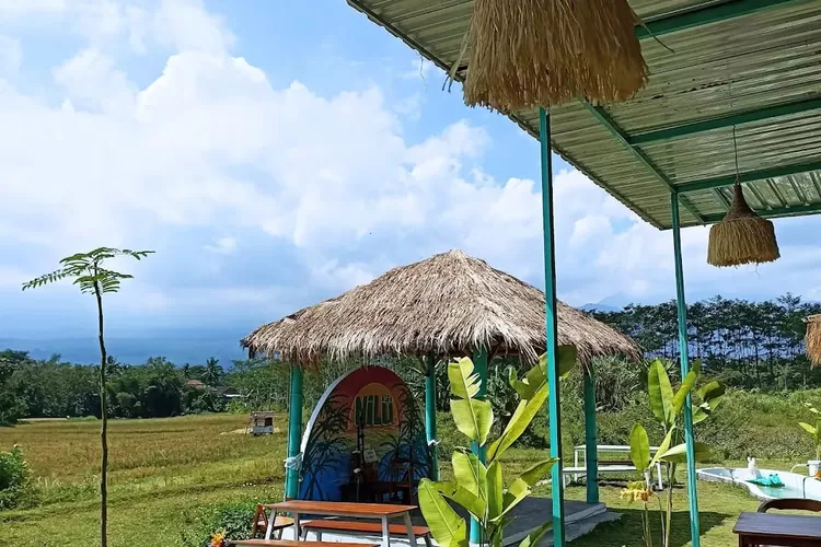 nilu kopi salatiga (foto indra yustiawan)