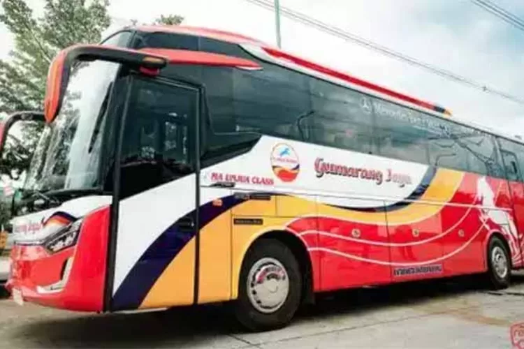 Miliki Harga Tiket Termurah, Bus Gumarang Jaya Terus Berpacu Melintasi Jalur Darat Padang Jawa