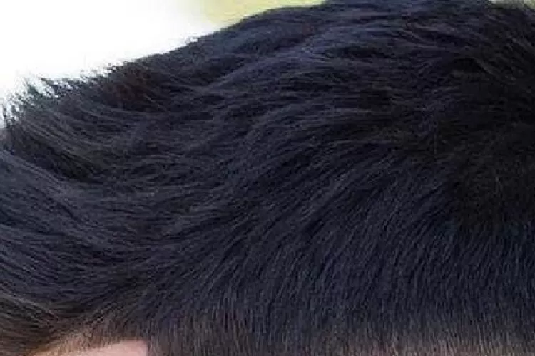 Contoh simulasi foto rambut