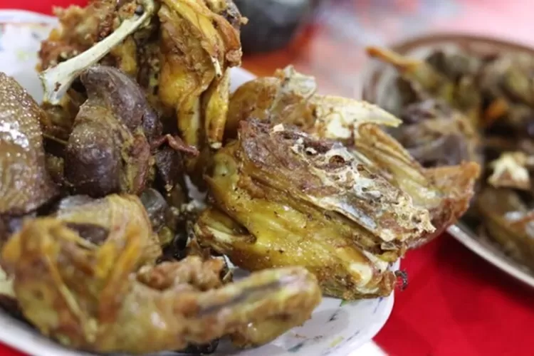 Top Tempat Makan Ayam Goreng Paling Enak Di Magelang Terkenal