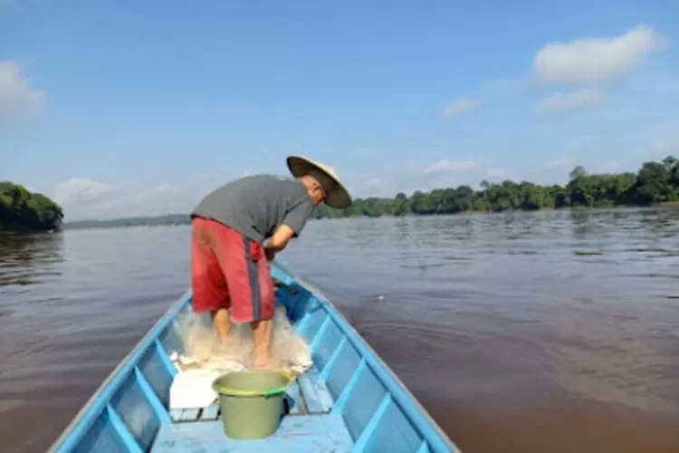 CATAT! Inilah 5 Sungai Terpanjang Di Indonesia, Nomor 1 Bukan Di Pulau ...