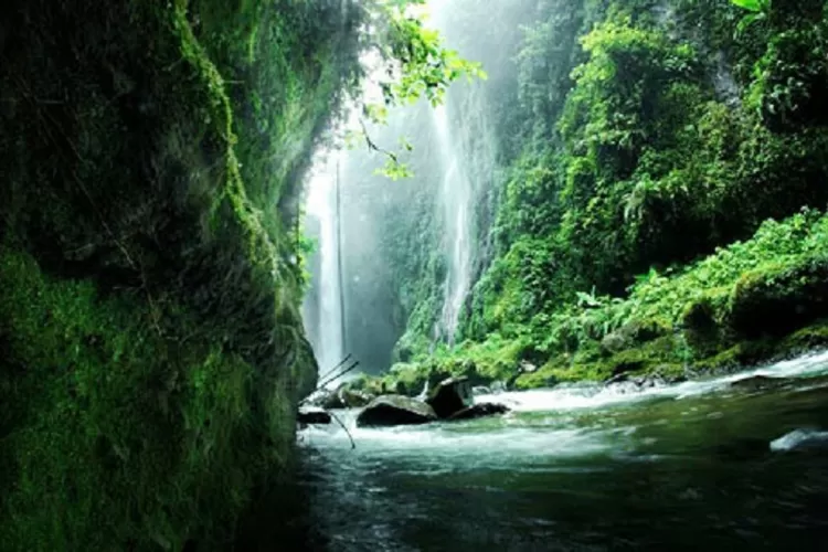 Wisata alam Air Terjun Langkuik Tinggi di Kabupaten Agam Sumatera Barat (penginapan.net)