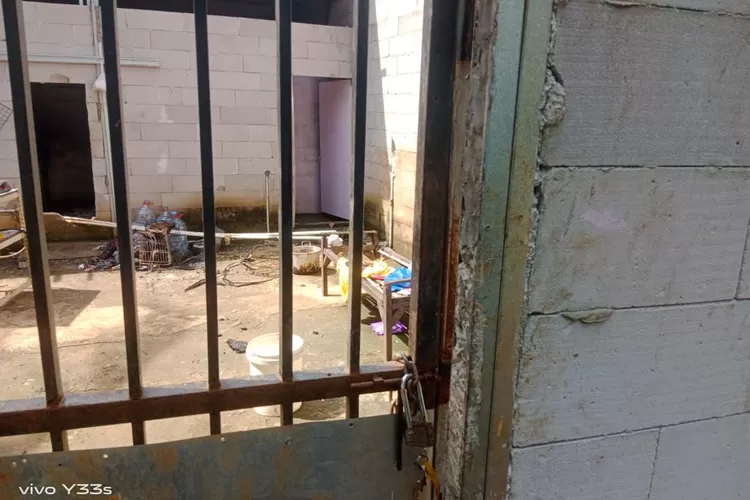 Tega Banget! Pria di Bogor Bakar Shalter Kucing di Wilayah Parung 