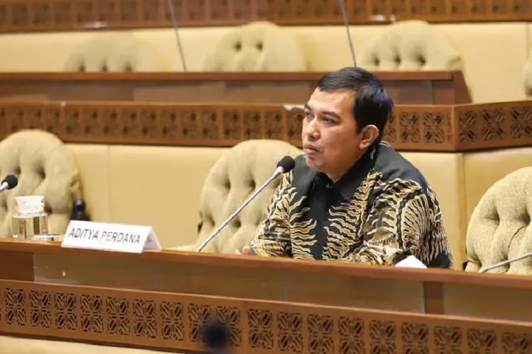 PILKADA: Pengamat Politik Universitas Indonesia, Aditya Perdana saat menyampaikan visi dan misi dalam uji kelayakan dan kepatutan (fit and proper test) yang digelar oleh komisi II DPR RI di Gedung DPR RI, Selasa (15/2/2022).&nbsp; (DOK BAWASLU RI)