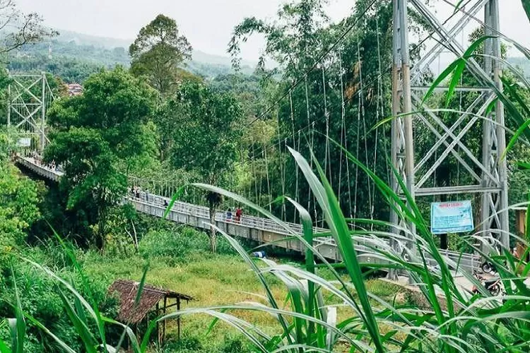 Kampung di Sumatera Barat yang disebut crazy rich dan memiliki jembatan gantung terpanjang di Sumbar (rentalmobilpadang.co.id)