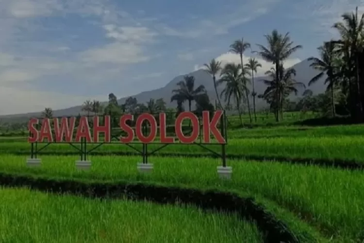 Bareh Solok, beras khas Sumatera Barat yang dijadikan lagu (Facebook Keindahan Nusantara)