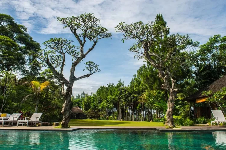 Rekomendasi Healing Ala Bali di Sentul Bogor, Cocok untuk Staycation dan Bulan Madu Loh! (Official Instagram Viila Aman D'Sini)