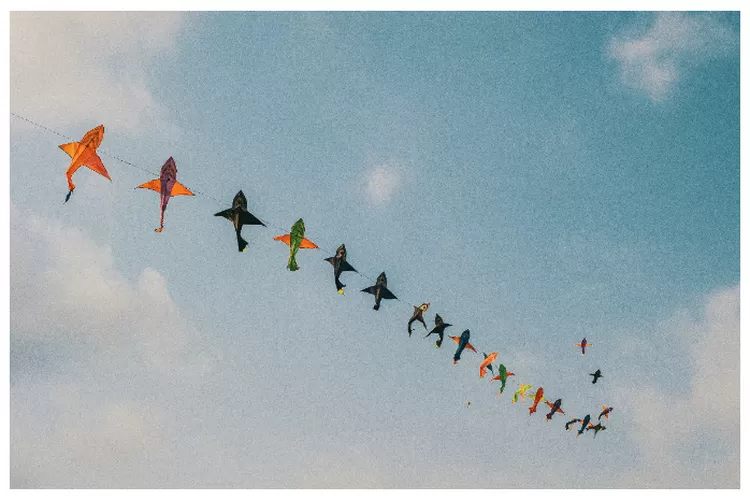 Festival Layang-Layang Bali Mengangkat Budaya dan Pemulihan Ekonomi melalui Langit Pulau Dewata (Ilustrasi) (pexels)