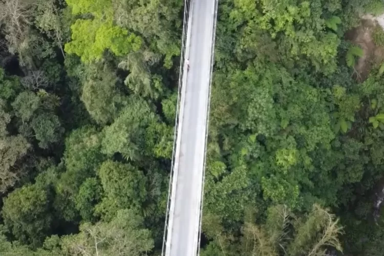 jembatan gantung terpanjang di Sumbar (Tangkapan Layar YouTube Kaba Rantau)