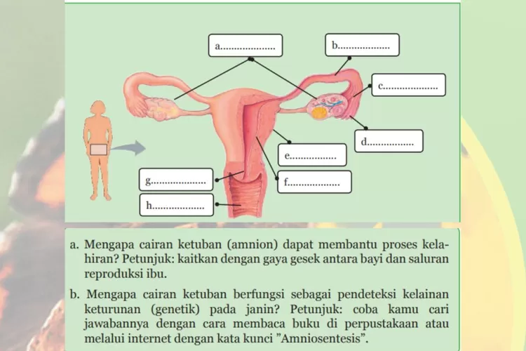 IPA kelas 9 Semester 1 halaman 16 30 Kurikulum 2013