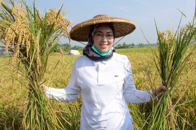 Bupati Purwakarta Anne Ratna Mustika memastikan ketahanan pangan di Purwakarta saat panen raya melebihi target. (Diskominfo Purwakarta)