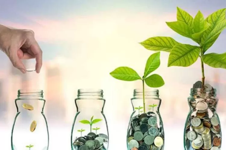 Ilustrasi Investasi pendidikan (Sumber foto:pasardana.id)