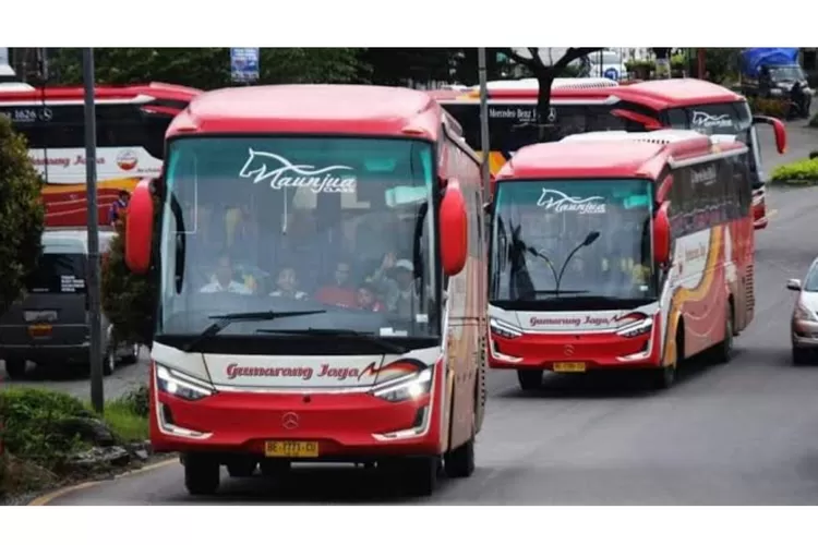 Potret Bus Gumarang Jaya (Facebook Bus Gumarang Jaya)