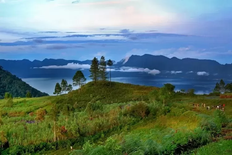 Puncak Lawang, Destinasi Wisata Terbaik di Kabupaten Agam (Dok harianhaluan.com)