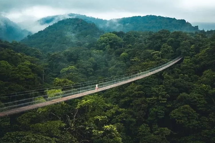 Miliki Panjang 243 M, Jembatan Gantung Di Sukabumi, Jawa Barat Jadi ...