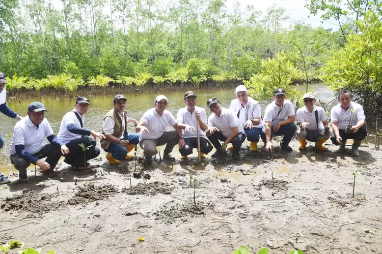 Desa Wisata Apar, Kota Pariaman, ditunjuk untuk Penanaman Mangrove Lintas Akademisi dan Lintas Kementerian. (Kominfo Kota Pariaman)