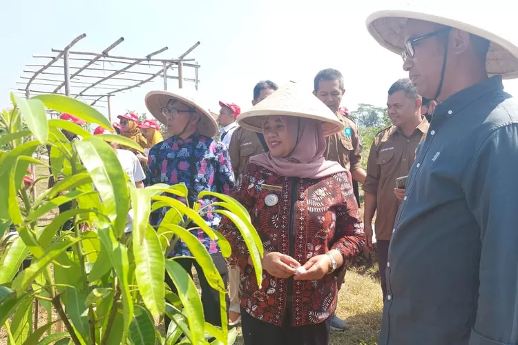 Yayasan AHM Kolaborasi Dengan UIN Yogyakarta Kembangkan Eduwisata, Ada ...