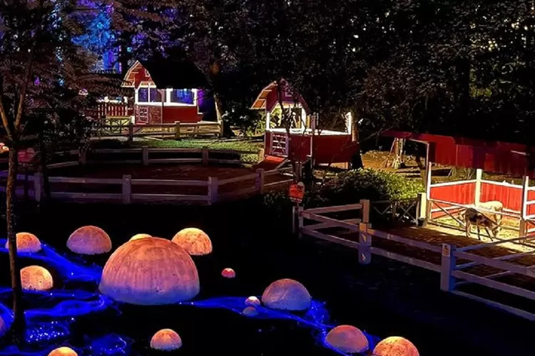 Hutan Menyala di Dairyland Riverside. (Instagram dairyland.riverside)