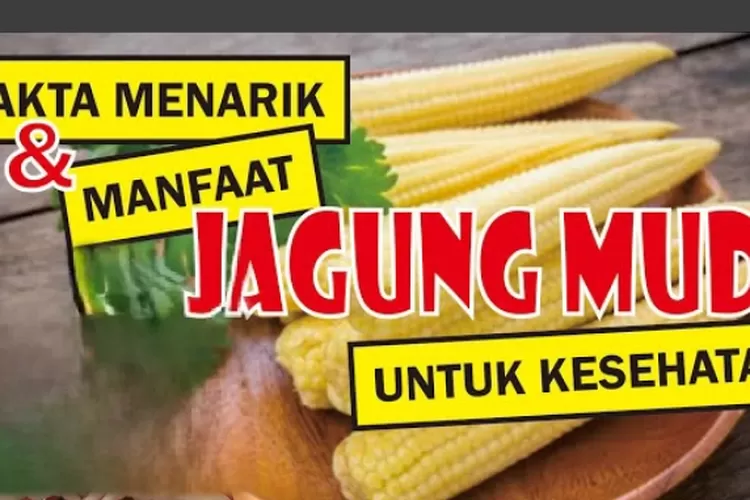 Fakta Menarik! Sering Digunakan untuk Bahan Makanan Pizza, Ternyata Jagung Muda Punya Manfaat Bagi Kesehatan (Foto: YouTube Dokter Fery Tv)