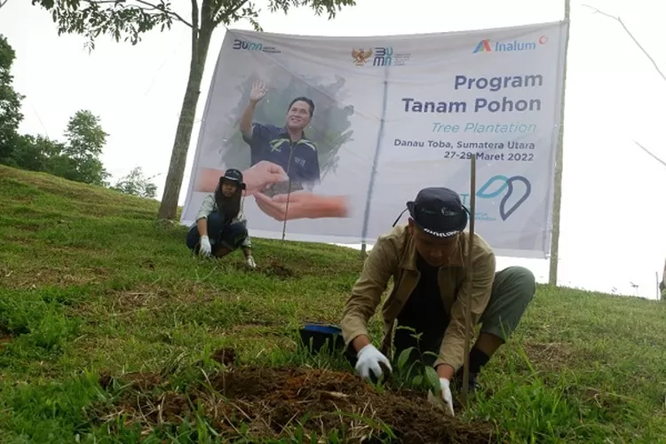 Penanaman Pohon di dataran Toba yang juga akan mempengaruhi ketersediaan dan atau kelebihan air di Batubara  (Realitasonline.id/H.Guntur Sinaga)
