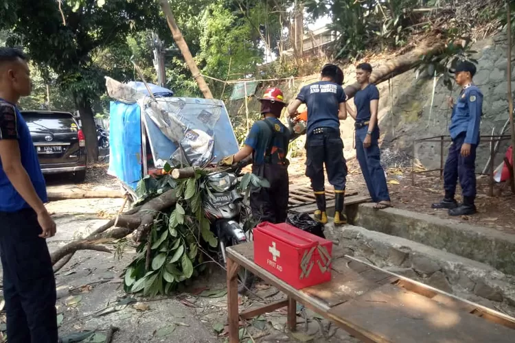 Proses evakuasi kendaraan yang tertimpa pohon di Jalan di Merdeka, Kelurahan Abadijaya, Kecamatan Sukmajaya.