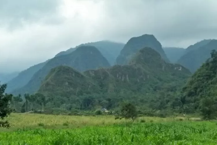 Terowongan termegah Asia Tenggara akan keruk perut Bukit Barisan yang penuh emas, terus di bawa ke mana emasnya nanti (Steemit.com)