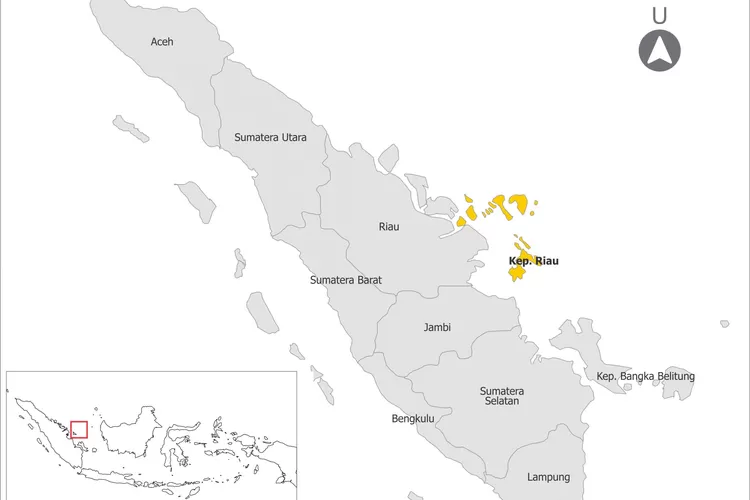5 Provinsi Terkaya dan Makmur se-Sumatera, Ternyata Nomor 1 dari Provinsi Hasil Pemekaran (perkim.id)