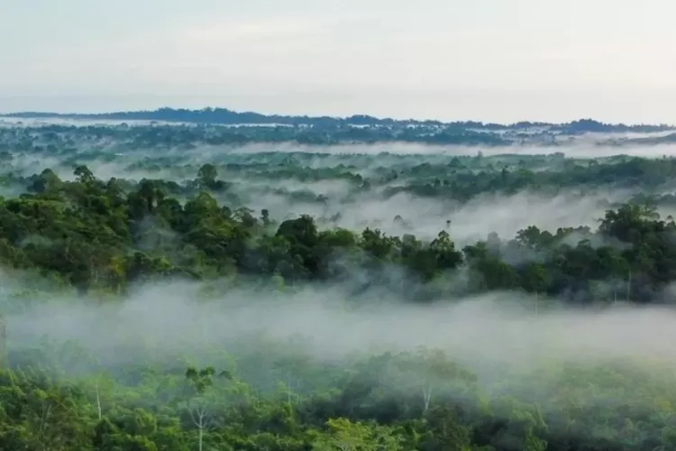 Potensi alam di Sumatera Utara (Instagram @bbtn_gunungleuser)