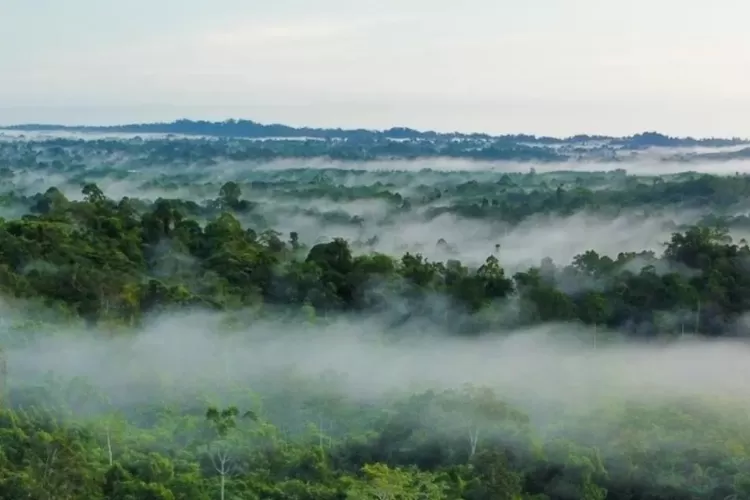 Gunung Leuser, Aceh (Instagram @bbtn_gunungleuser)