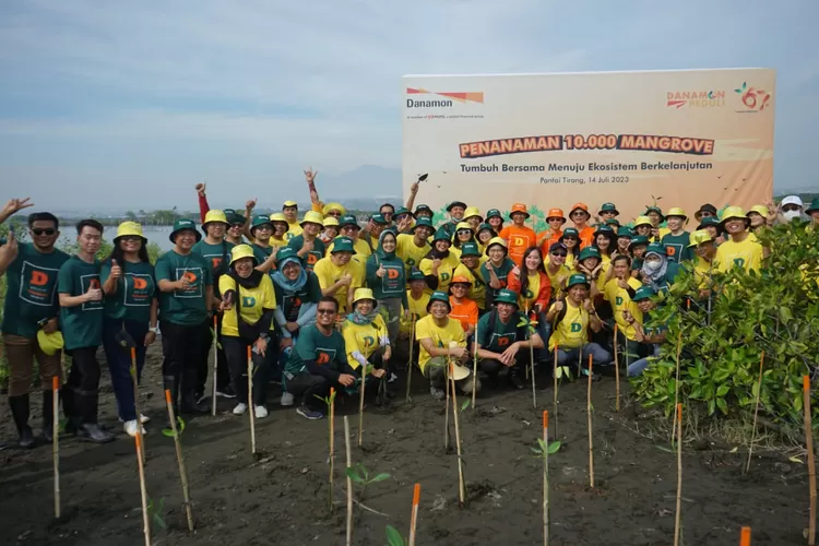 Melibatkan sekitar 100 relawan, Danamon menanam 10.000 pohon mangrove di Pantai Tirang, Semarang, Sabtu (22/7/2023). Danamon berharap gerakan ini bisa memberikan manfaat lingkungan, ekonomi dan sosial.  (Istimewa)