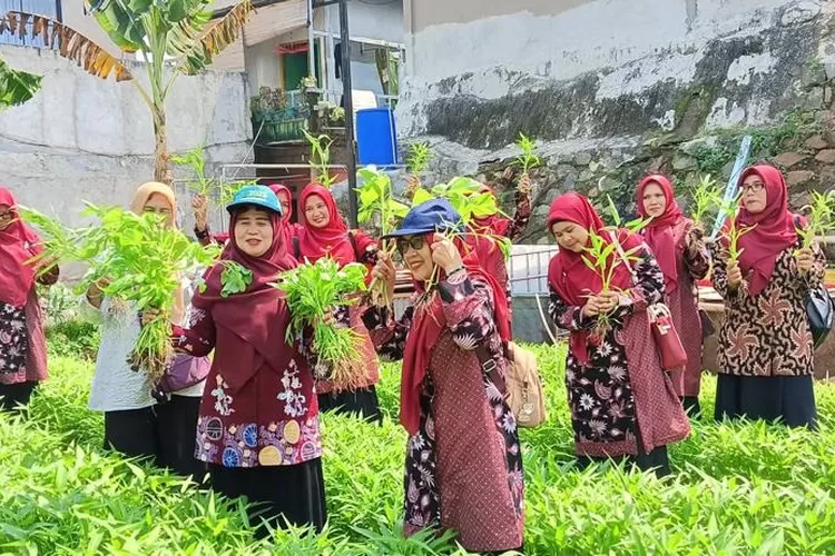 Lurah Jatijajar, Mujahidin  bersama stakeholder Kelurahan Jatijajar melakukan panen di lokus Kampung Proklim RW9 Jatijajar