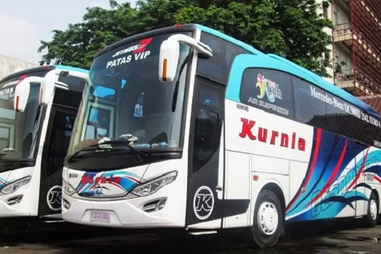 PO Bus Kurnia artis jalur Sumatera (Ist)