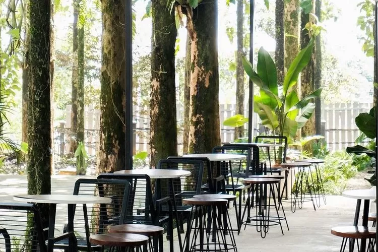 Hidden Gem Cafe Outdoor di Bogor, Sensasi Nongkrong di Tengah Hutan Dijamin Bikin Betah