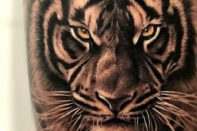 Contoh foto harimau (Febri Daniel Manalu)