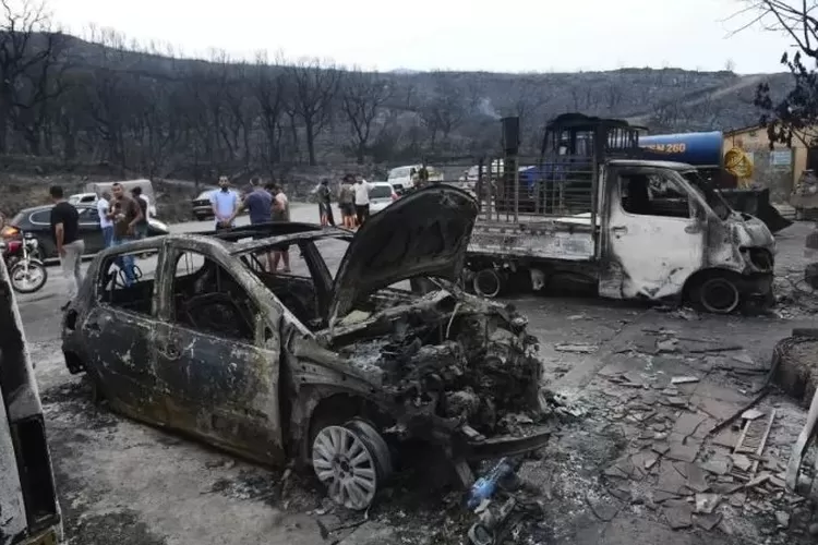 Kebakaran hutan di Aljazair menewaskan 34 orang.  (AP Photo)