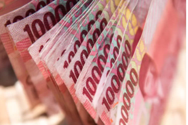 Gaji PNS 2024 Segera Diumumkan Jokowi 16 Agustus Ada Kenaikan Berapa?