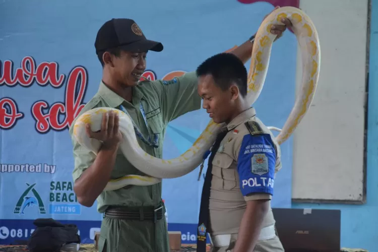 Petugas Taman Safari Beach Jateng kenalkan satwa kepada Taruna SMK Bintara Batang.  (Muslihun kontributor Batang)