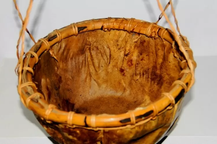 Timo ini digunakan sebagai wadah yang digunakan Suku Sakai untuk menampung madu  (indonesiakaya.com)