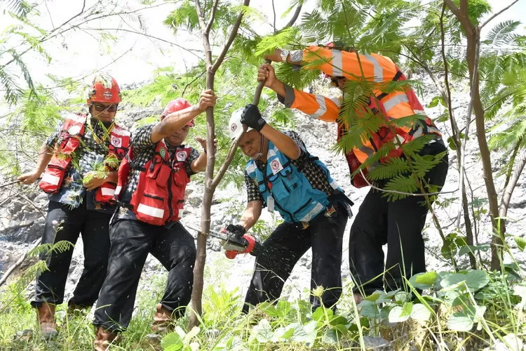 Direktur Utama PT Semen Padang, Asri Mukhtar (ketiga kiri) melakukan panen perdana pohon kaliandra merah