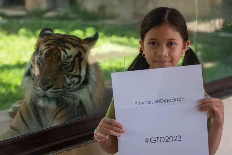 Seorang pengunjung TMSBK berfoto bersama &quot;inyiak&quot; Harimau pada Global Tiger Day 2023 (Istimewa)