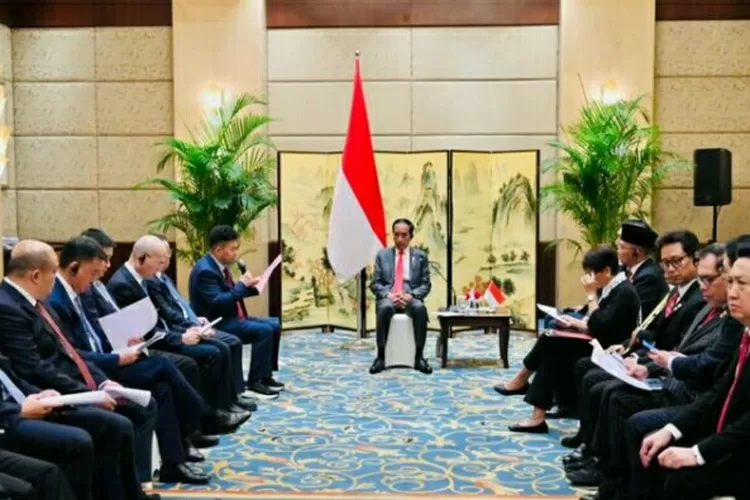 Komitmen Jokowi kepada investor China: Kalau ada nasalah di apangan, tolong disampaikan! (BPMI Setpres)